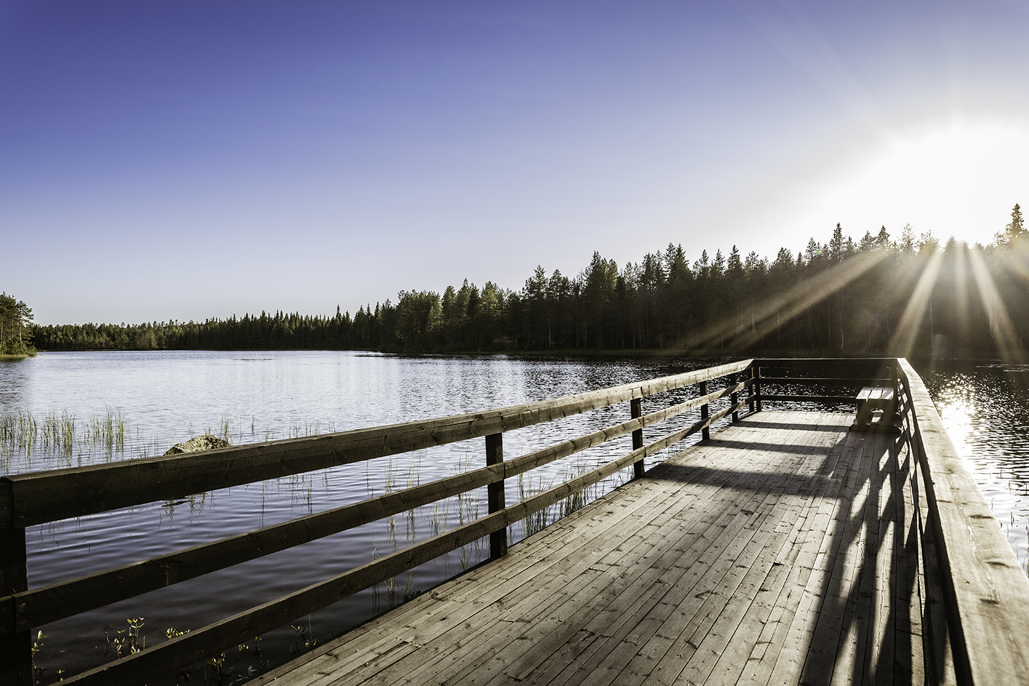 Vikarierande skolhandläggare