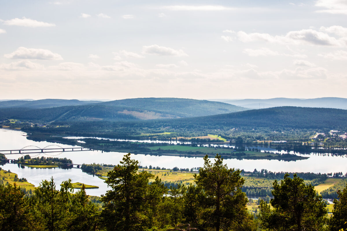 Semestervikarier till stöd och omsorg