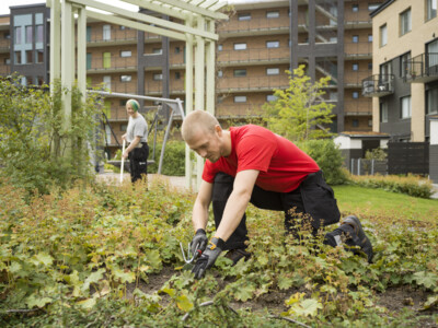Sommarpersonal Umeå