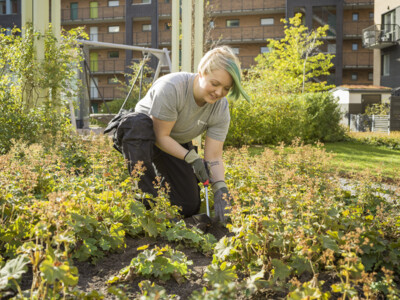 Trädgårdsspecialist