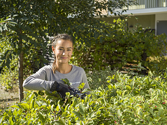 Säsongsarbete 2026 - Ängelholm