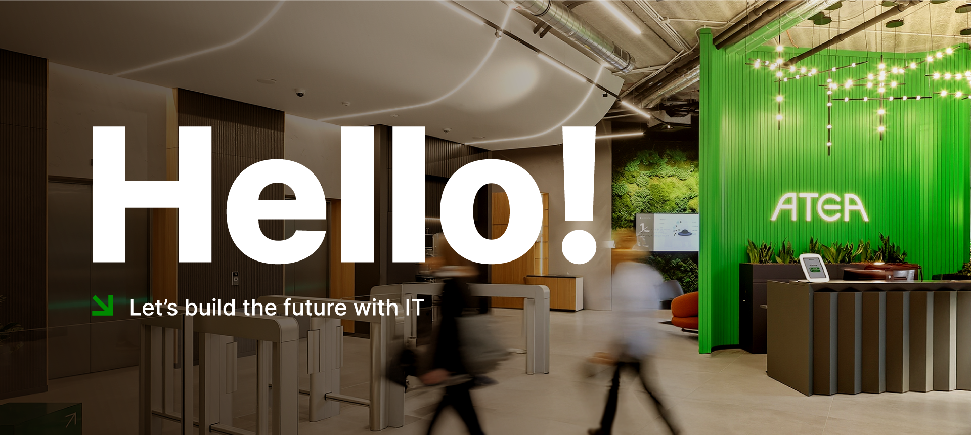 Senior Software Developer